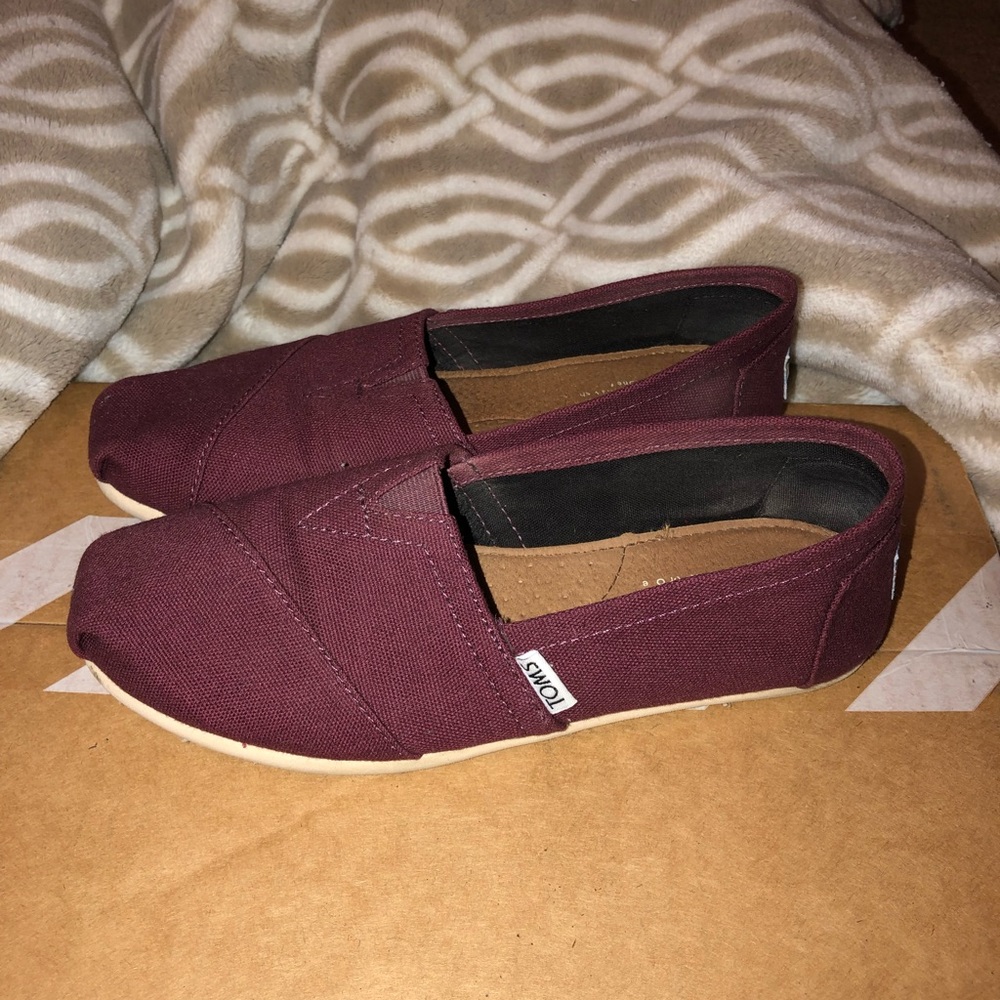 TOMS